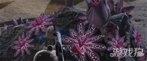 七日世界芽孢争夺怎么玩 芽孢争夺玩法介绍