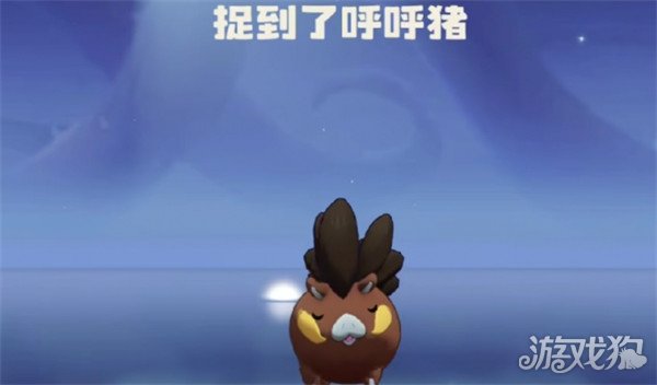 洛克王国世界呼呼猪技能怎么搭配 呼呼猪技能搭配推荐
