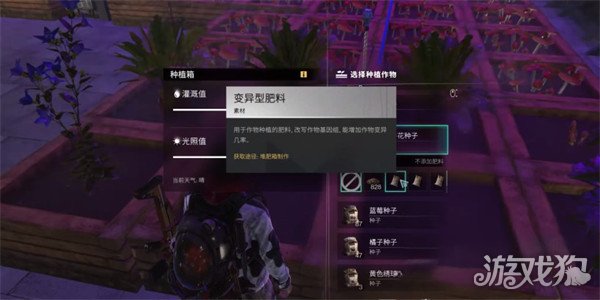 七日世界变异小麦在哪里 变异小麦位置一览
