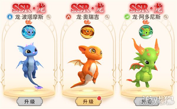 龙骑士学园宠物怎么培养 宠物培养攻略