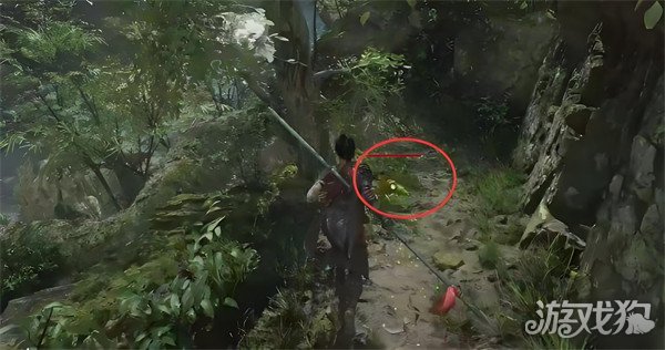 明末渊虚之羽蜀神庇护怎么获得 蜀神庇护获取方法